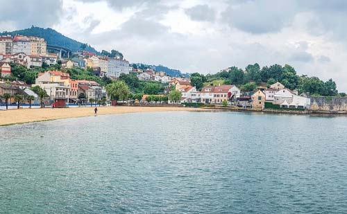 floristería vigo