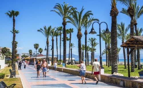 Floristerías cerca de mí en Andalucía