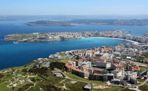 Floristería Galicia - Coruña